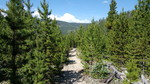 photo thumbnail #15