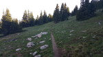 photo thumbnail #14