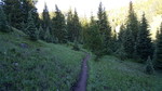photo thumbnail #1