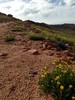 photo thumbnail #11