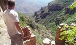 photo thumbnail #1