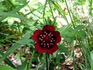 photo thumbnail #9