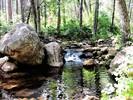 photo thumbnail #10