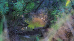 photo thumbnail #9