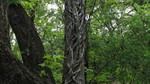 photo thumbnail #15