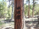 photo thumbnail #2