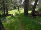 photo thumbnail #4