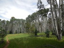 photo thumbnail #6
