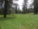 photo thumbnail #8