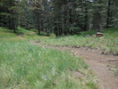 photo thumbnail #9
