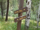 photo thumbnail #11