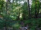 photo thumbnail #1
