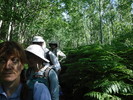 photo thumbnail #7