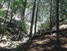 photo thumbnail #9