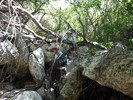 photo thumbnail #10
