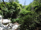 photo thumbnail #12