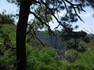 photo thumbnail #15