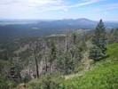 photo thumbnail #7