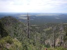 photo thumbnail #8