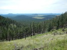 photo thumbnail #9