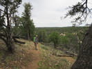 photo thumbnail #6