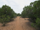 photo thumbnail #7