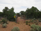 photo thumbnail #8
