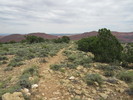 photo thumbnail #10