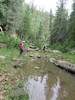 photo thumbnail #3