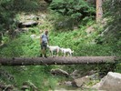 photo thumbnail #4