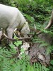 photo thumbnail #7