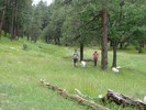 photo thumbnail #12