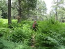 photo thumbnail #15