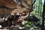 photo thumbnail #6