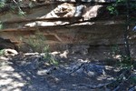 photo thumbnail #2