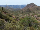 photo thumbnail #5