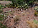 photo thumbnail #9