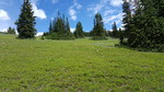 photo thumbnail #13
