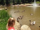 photo thumbnail #10