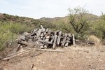 photo thumbnail #9