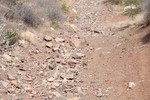 photo thumbnail #12