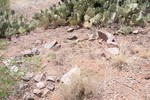 photo thumbnail #13