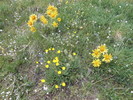 photo thumbnail #11