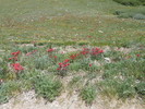 photo thumbnail #12