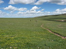 photo thumbnail #9