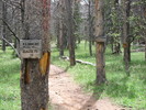 photo thumbnail #10