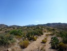 photo thumbnail #6