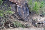 photo thumbnail #11