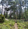 photo thumbnail #9
