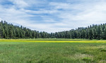 photo thumbnail #13
